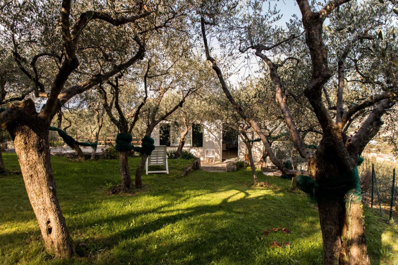 لافانيا Agri Bed - L'Affittacamere In Collina - Guest Room On The Hill المظهر الخارجي الصورة