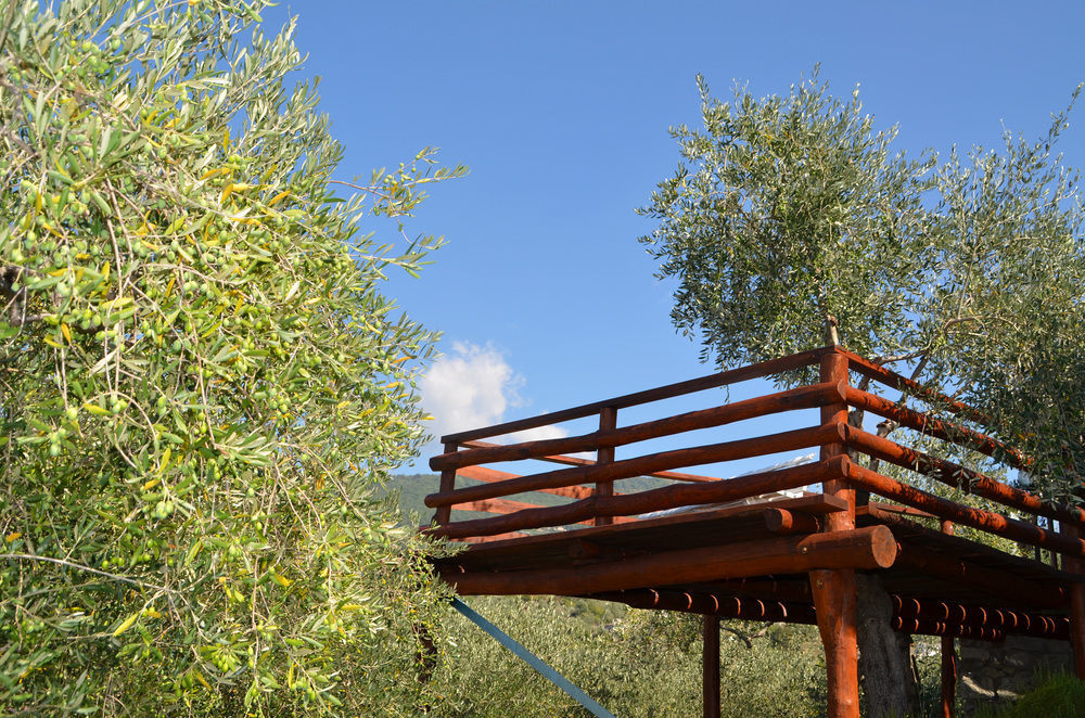 لافانيا Agri Bed - L'Affittacamere In Collina - Guest Room On The Hill المظهر الخارجي الصورة