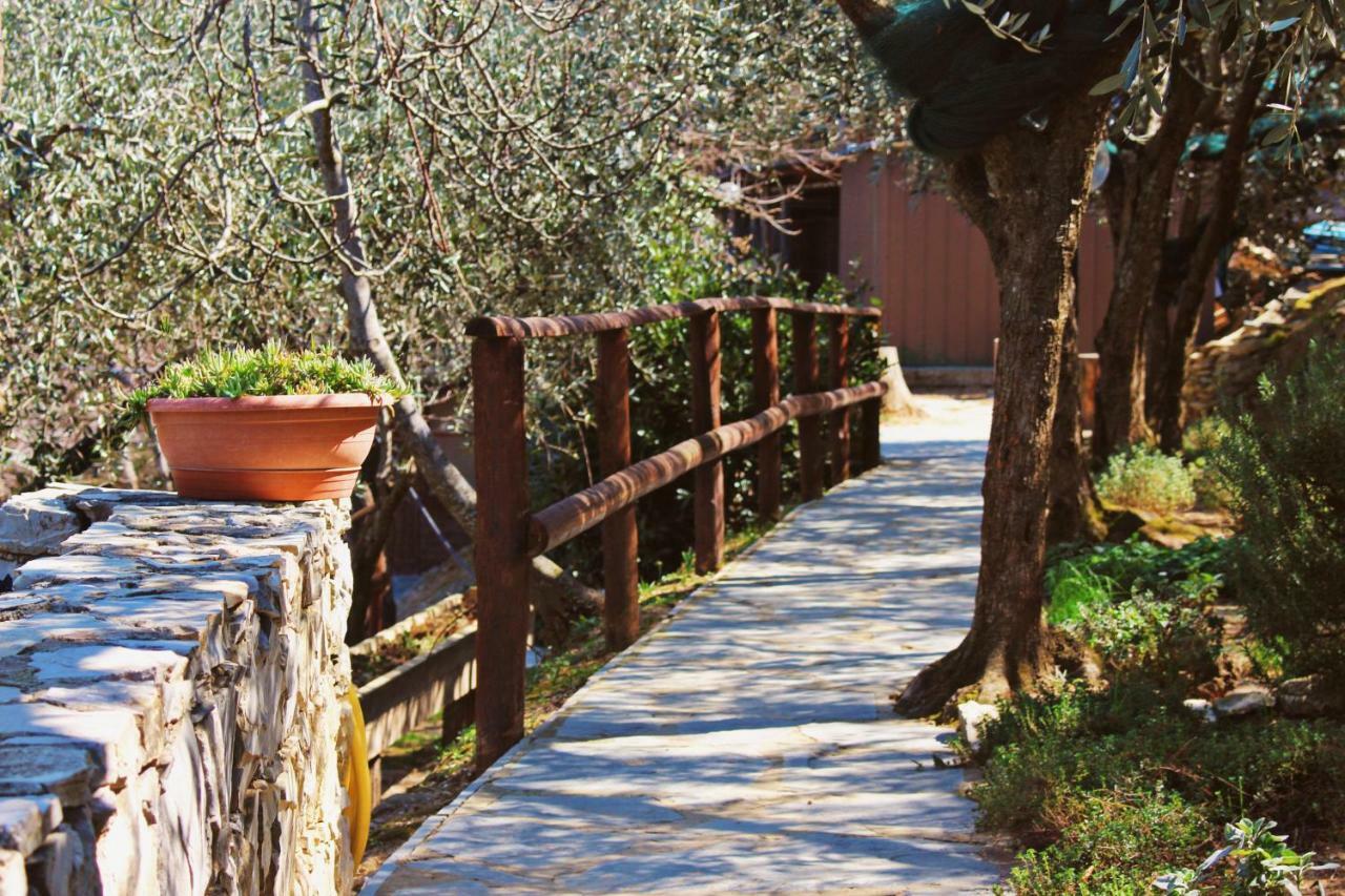 لافانيا Agri Bed - L'Affittacamere In Collina - Guest Room On The Hill المظهر الخارجي الصورة